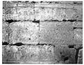 Стена в Храме Луксора 2.jpg