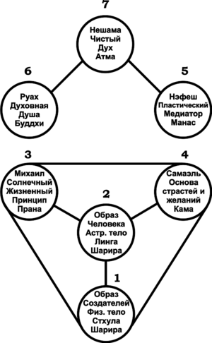 Epb td1 diagramma4.svg