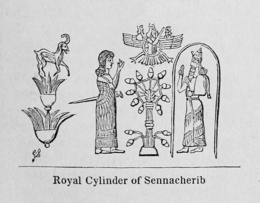 Файл:Tree of Life 1.jpg