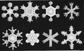 Звёздчатые кристаллы снега.png