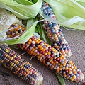 Разноцветная кукуруза.png