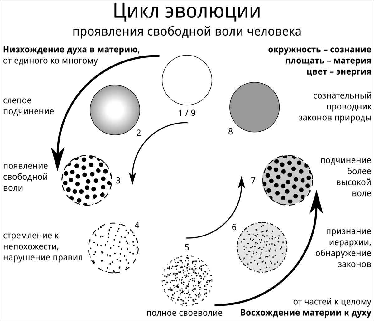 Современную эволюционную теорию можно представить в виде следующей схемы объясните руководствуясь