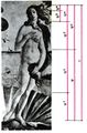 Боттичелли, Венера, пропорции.jpg
